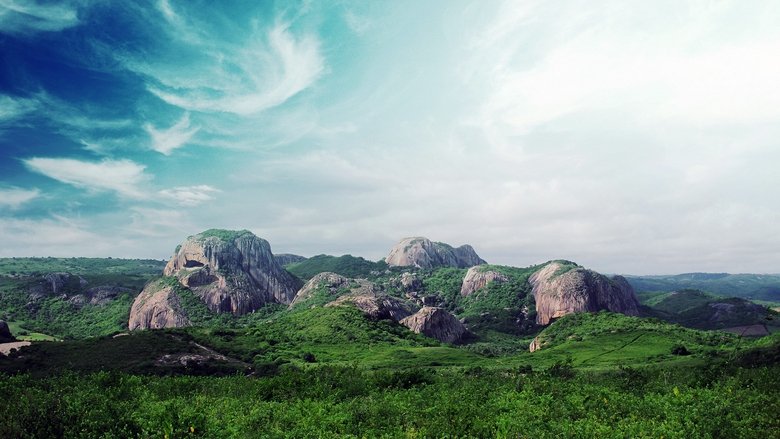 Backdrop image for movie Wild Brazil