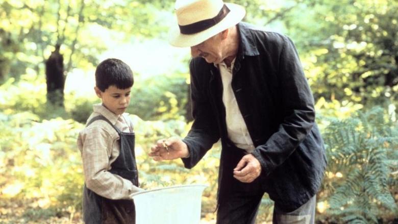 Backdrop image for movie Butterfly