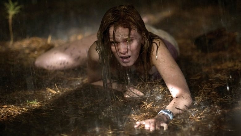 Backdrop image for movie Deep in the Woods