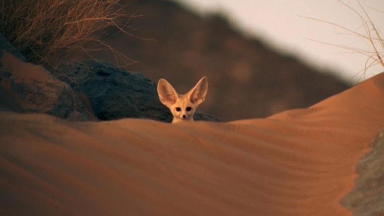 Backdrop image for movie Super Cute Animals