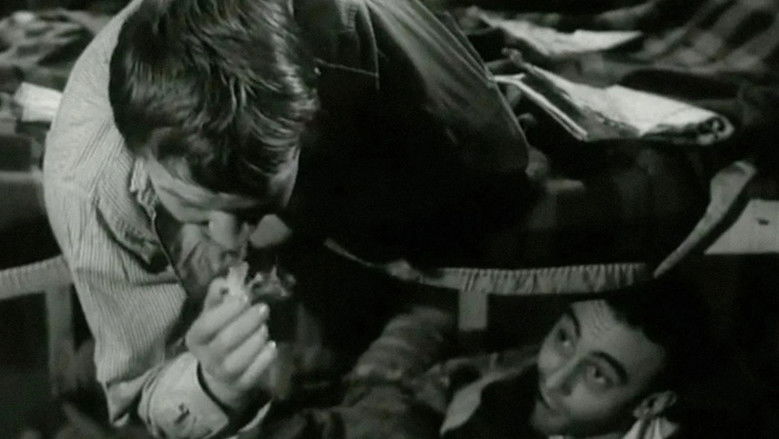 Backdrop image for movie Les Ratés