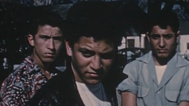 Backdrop image for movie Gang Boy