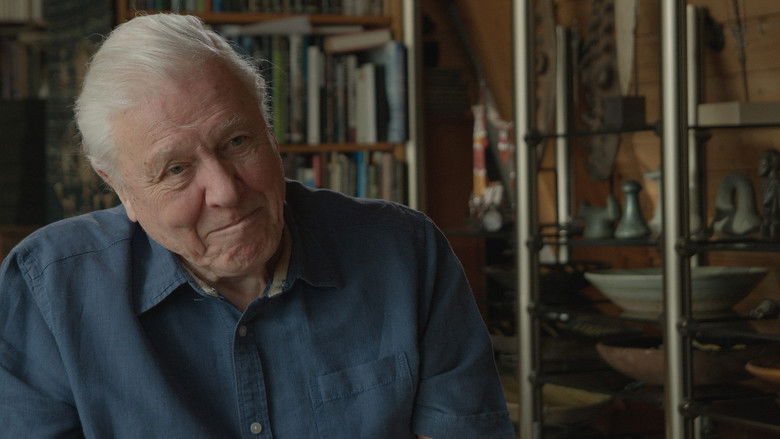 Backdrop image for movie Zoo Quest in Colour