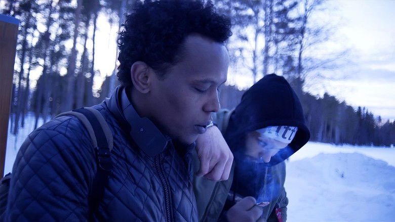 Backdrop image for movie Inside the Diamond