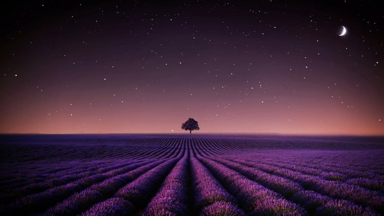 Backdrop image for movie Adieu Aurora