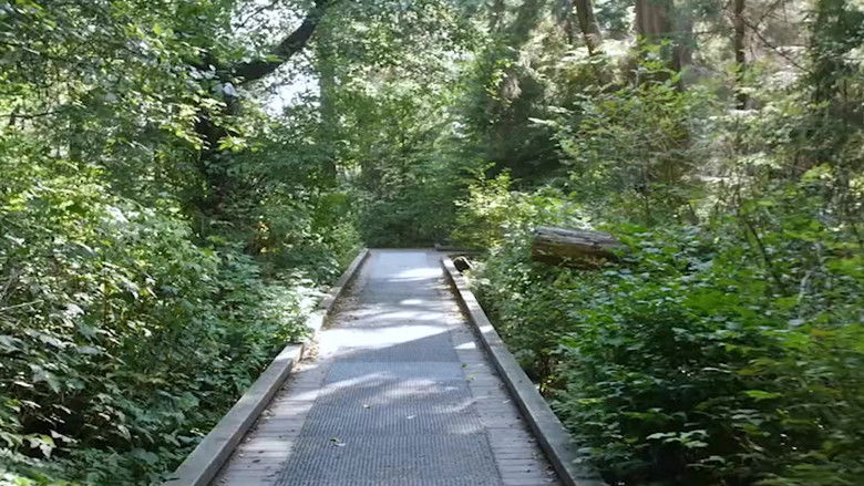 Backdrop image for movie The Lost Vlog of Ruby Real