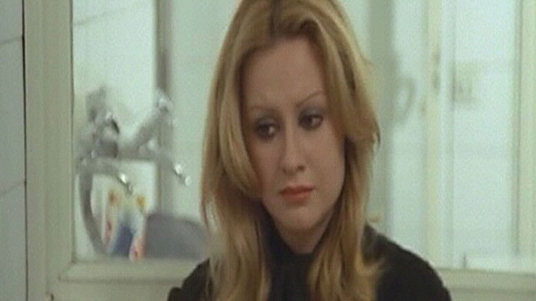 Backdrop image for movie Ligeramente viudas