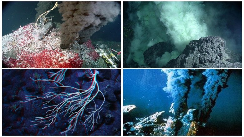 Backdrop image for movie Volcanoes of the Deep Sea