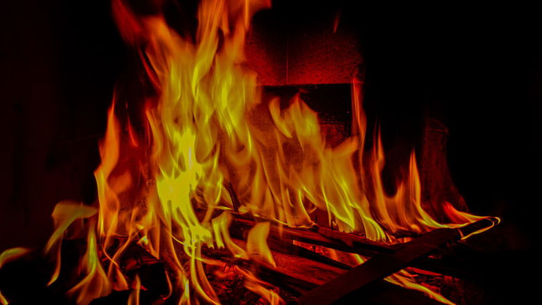 Backdrop image for movie Chamas da Paixão