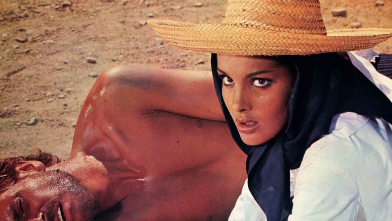 Backdrop image for movie Seven Guns for the MacGregors