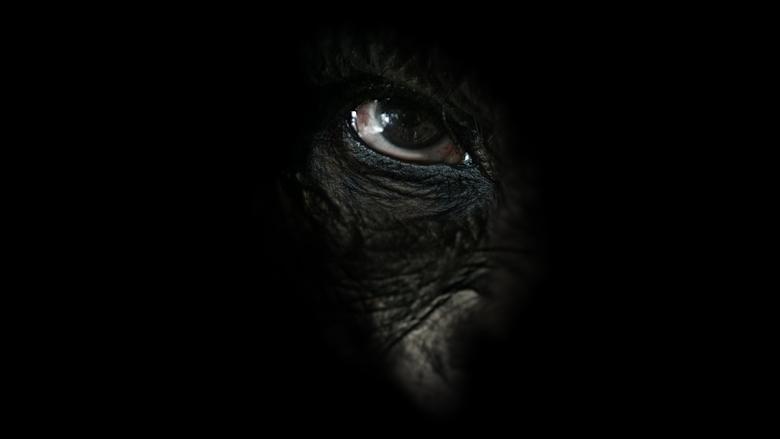 Backdrop image for movie Rise of the Warrior Apes