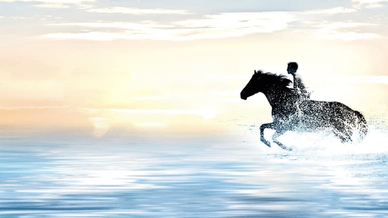 Backdrop image for movie The Black Stallion