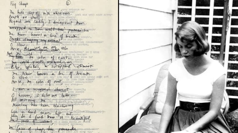 Backdrop image for movie Sylvia Plath reading poems from Ariel