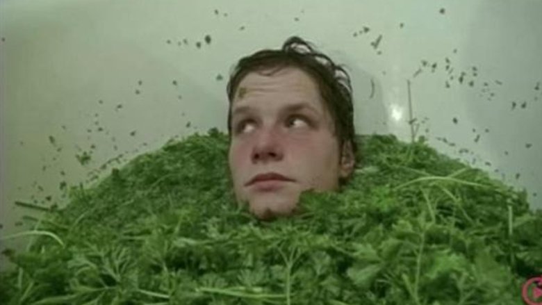 Backdrop image for movie Parsley Days