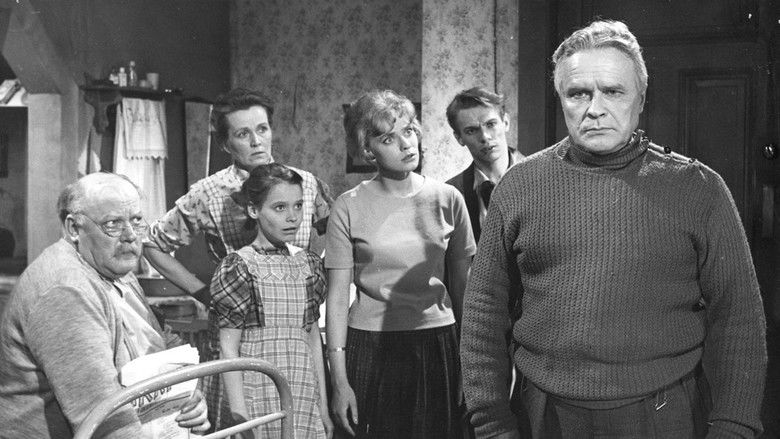 Backdrop image for movie Pinsiön parooni