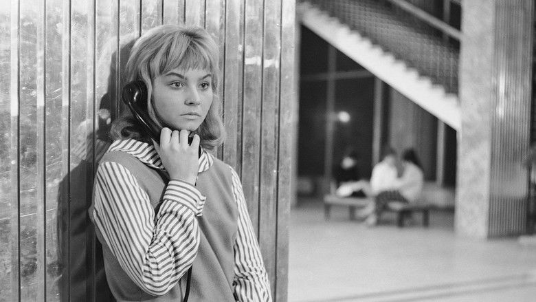 Backdrop image for movie Every Week Seven Days