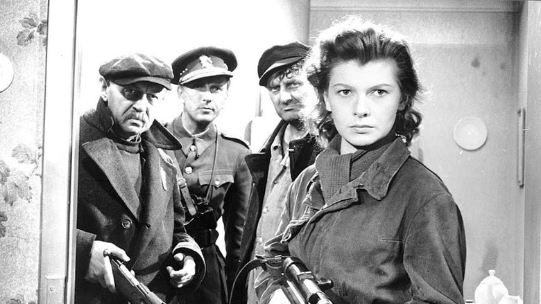Backdrop image for movie Silent Barricade