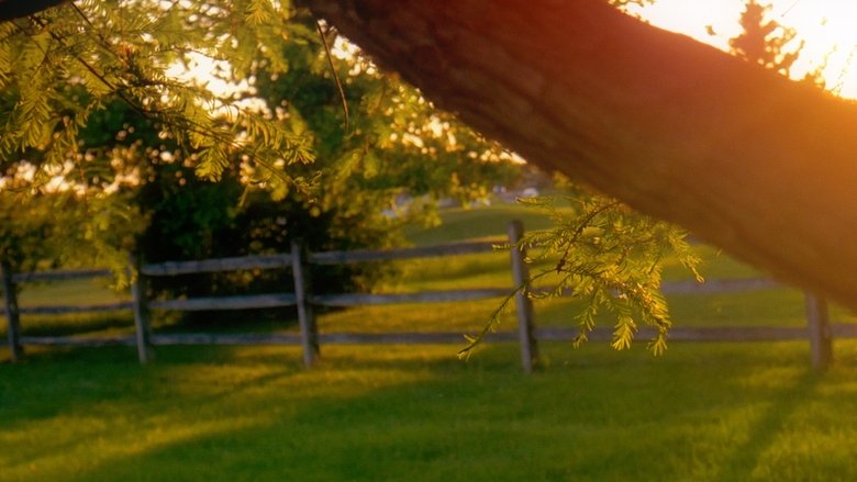 Backdrop image for movie Milestone No. 2