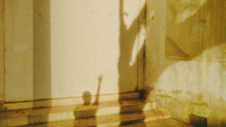 Backdrop image for movie Will You Look at Me