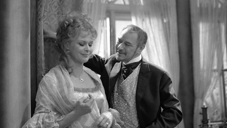 Backdrop image for movie Venkovská panička