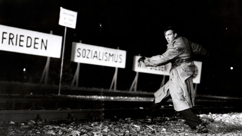 Backdrop image for movie Stop Train 349