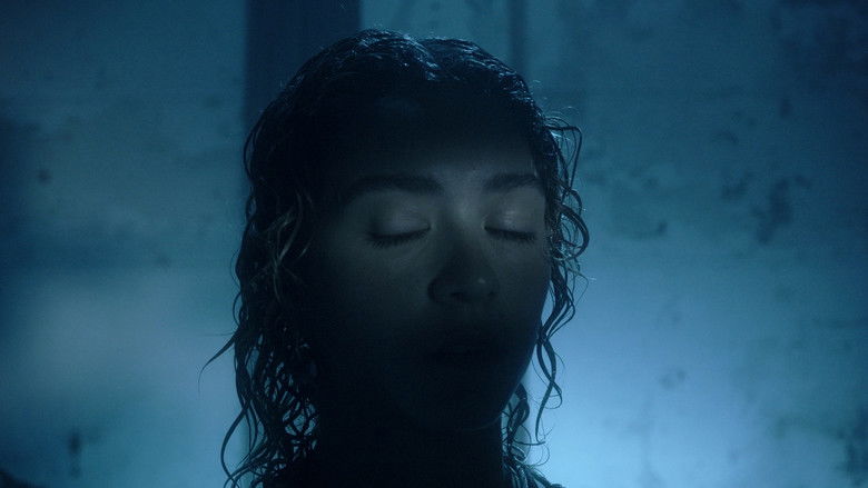 Backdrop image for movie SHIFTING VISIONS