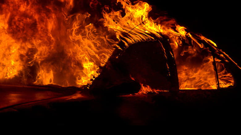 Backdrop image for movie Fire in Paradise