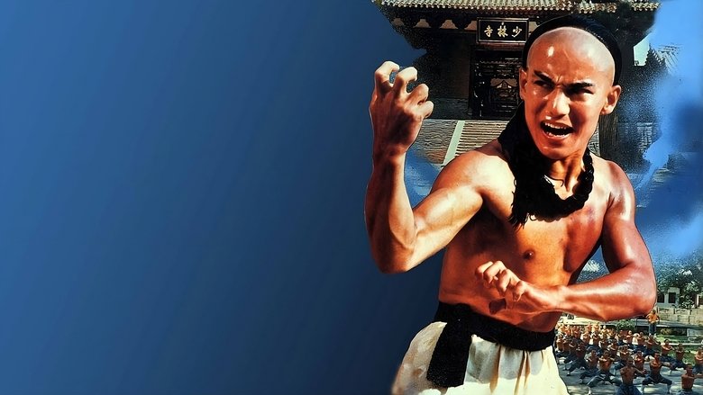 Backdrop image for movie The Young Hero of Shaolin