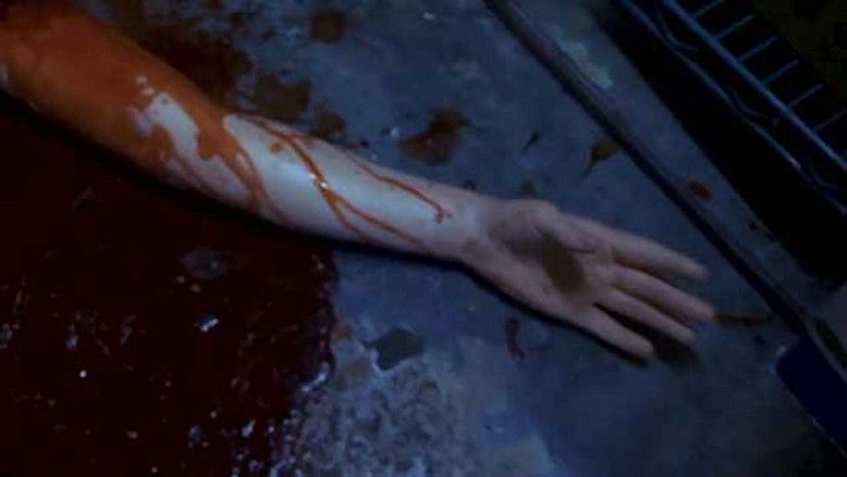 Backdrop image for movie Human Hibachi