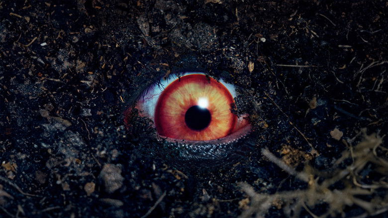 Backdrop image for movie The Forbidden Play