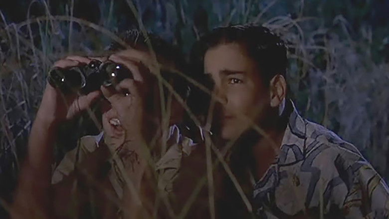 Backdrop image for movie Just Looking