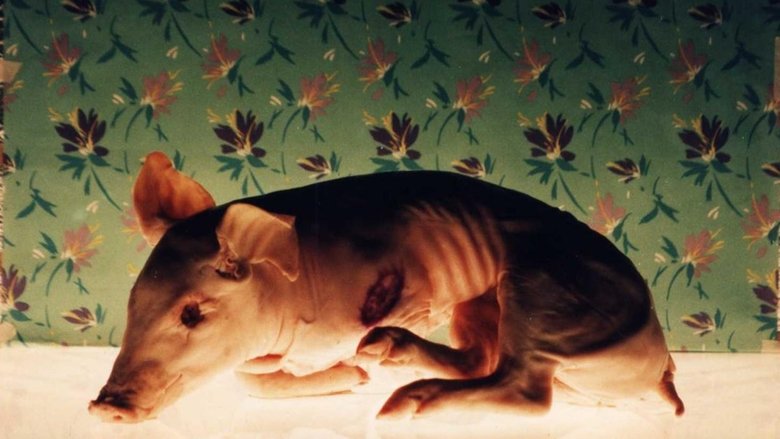 Backdrop image for movie Isle of Flowers