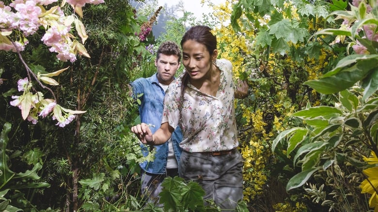 Backdrop image for movie The Shack