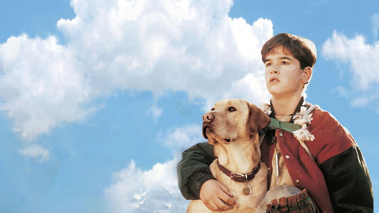 Backdrop image for movie Far from Home: The Adventures of Yellow Dog