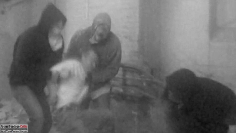 Backdrop image for movie Murder Collection V.1