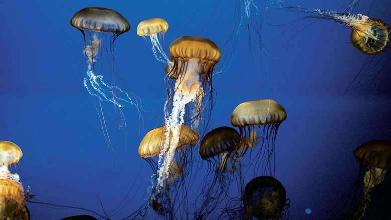 Backdrop image for movie The Living Sea