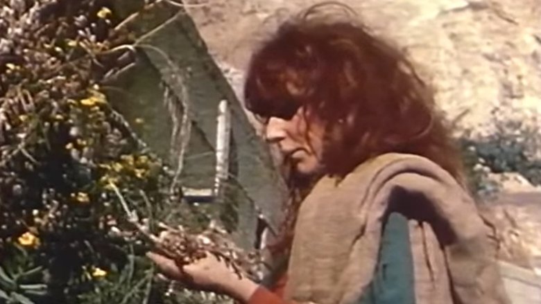 Backdrop image for movie Vali, The Witch of Positano