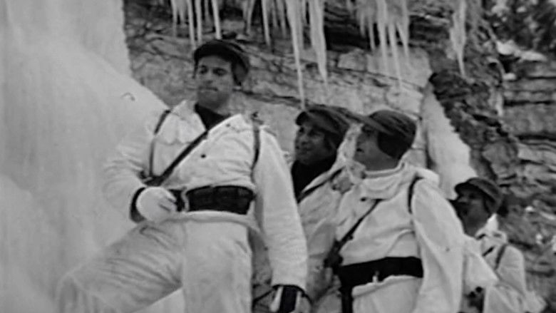 Backdrop image for movie Ski Troop Attack