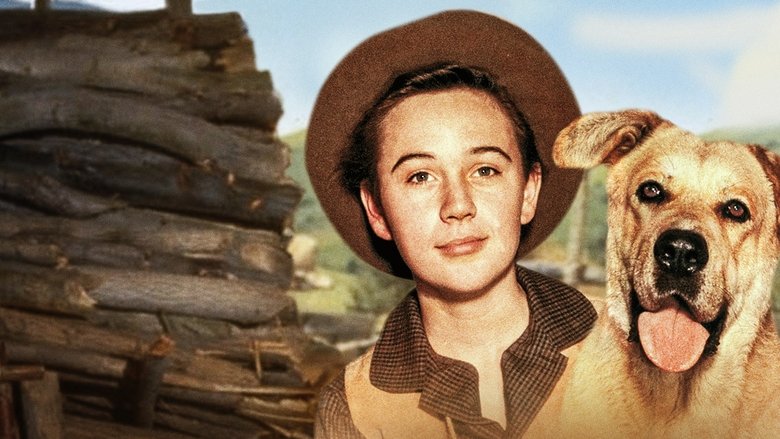 Backdrop image for movie Old Yeller