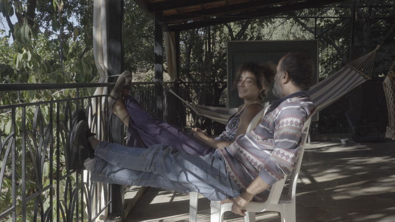 Backdrop image for movie The cats, the sea, and everything in between.