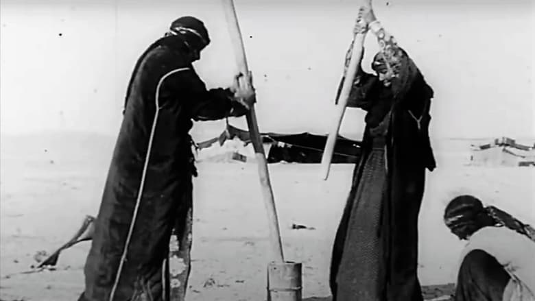Backdrop image for movie Film-Essay on the Euphrates Dam