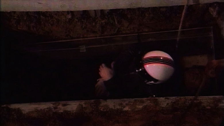 Backdrop image for movie Backbone