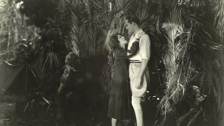 Backdrop image for movie Lorraine of the Lions