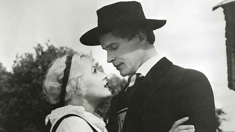 Backdrop image for movie Pohjalaisia