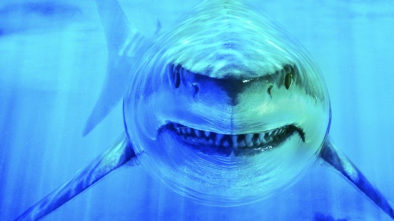 Backdrop image for movie World's Biggest Great White?