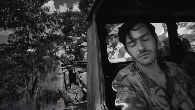 Backdrop image for movie Letters from War