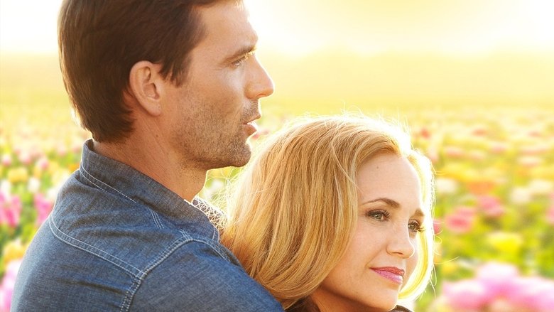 Backdrop image for movie Tulips in Spring
