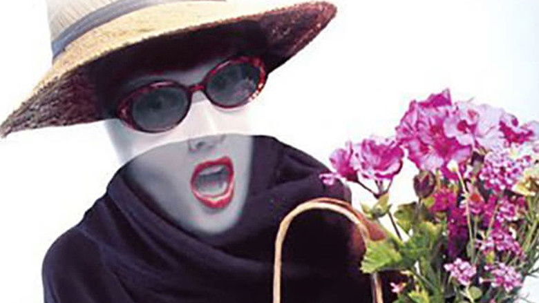 Backdrop image for movie Invisible Mom II