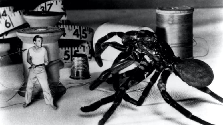 Backdrop image for movie The Incredible Shrinking Man