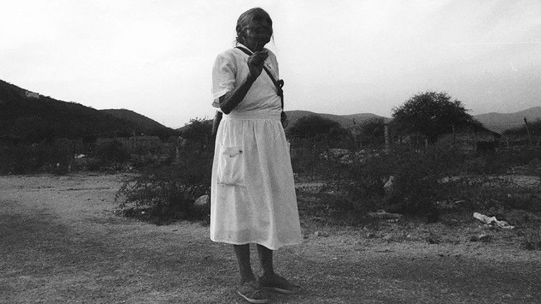 Backdrop image for movie Zapata's Path